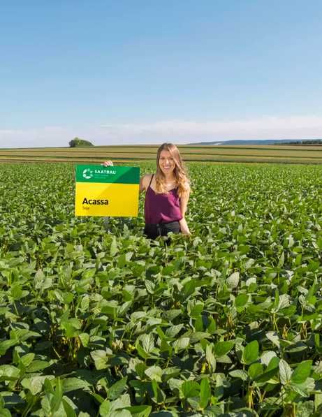 Nasiona Soi Acassa Abaca Abelina Aurelia zaprawione zaszczepione