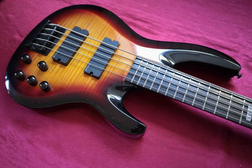 ESP LTD B305 із кейсом