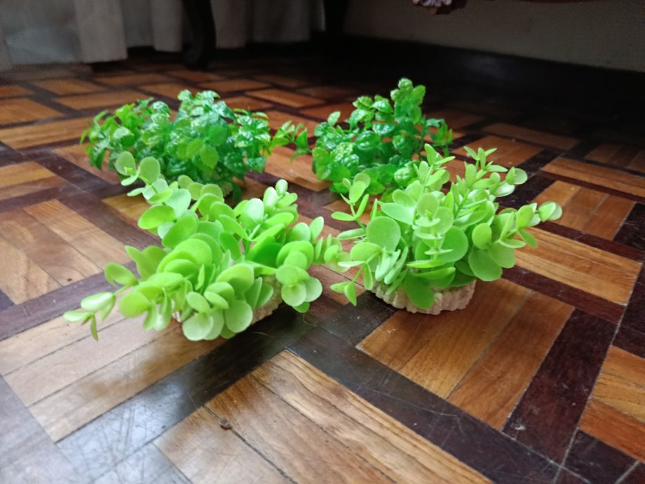 Várias plantas arficiais decorativas para aquário