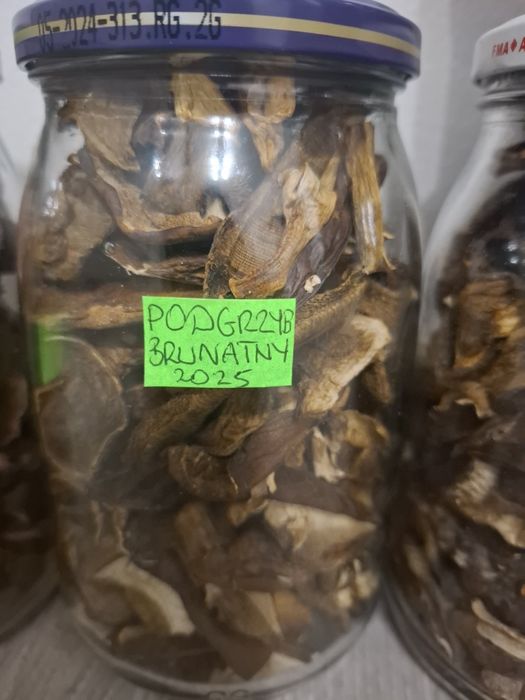 Grzyby suszone i marynowane