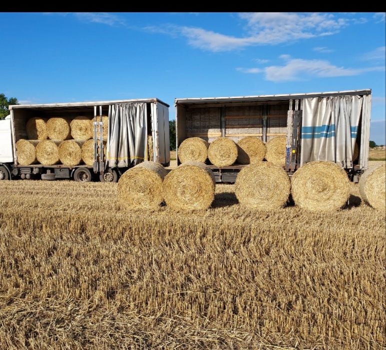 Siano słoma w balotach / bele / bale / własny transport