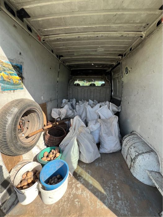 Перевезення по області та Україні