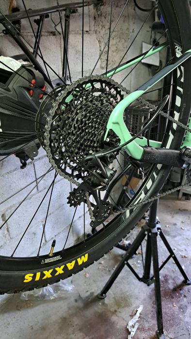 Coluer poision sl