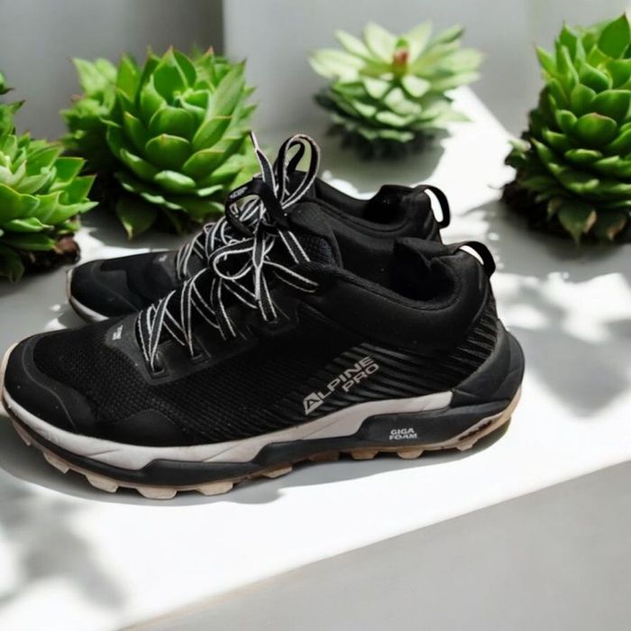 Buty Alpine Pro Qede 44