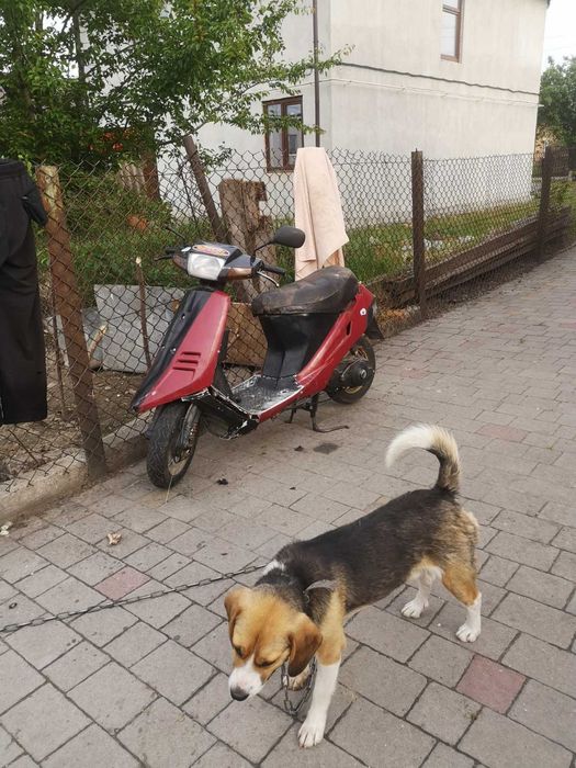 Продаж suzuki   на ходу