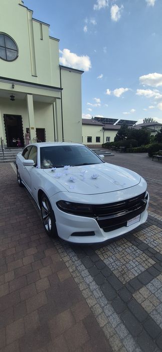 Auto do ślubu. Zawiozę do ślubu Dodge Charger v8