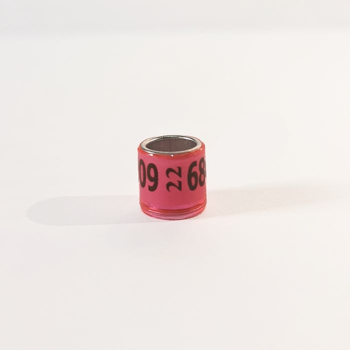 Obrączki dla gołębi DV 2022 - 30szt