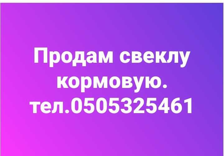 Продам буряк кормовой