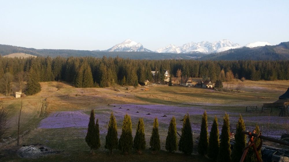 Willa "  Domek Kasia i Tomek " Tatry/Zakopane/ MURZASICHLE