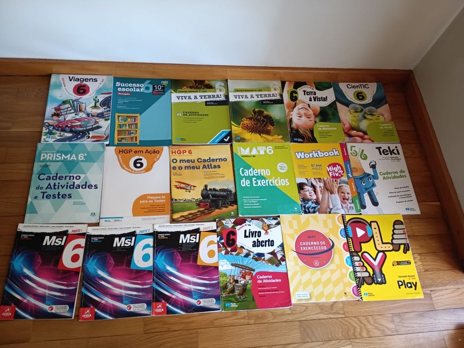Livros de fichas/ atividades e manuais 6º ano