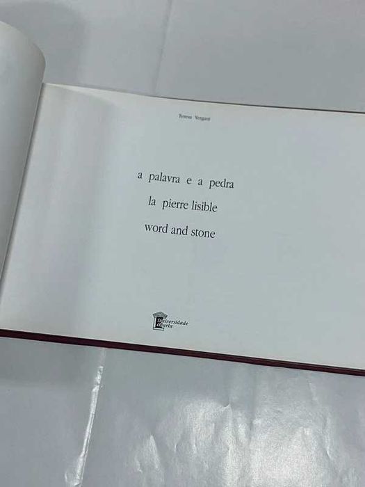 A palavra e a pedra - La pierre lisible