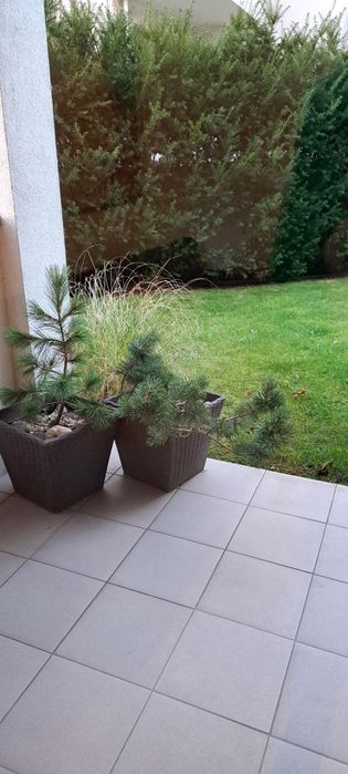 apartament we władysławowie 50m od morza