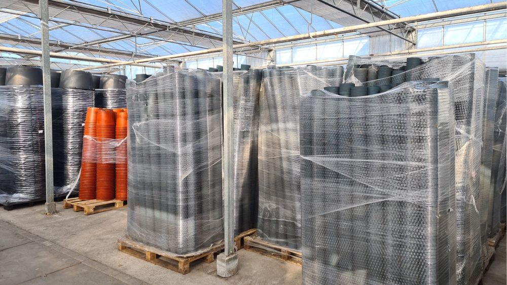 Doniczki produkcyjne 12 cm