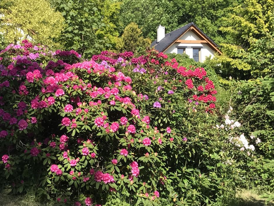 Domki w Górach Sowich PrzySowie    (Ferie, Wakacje , Wekendy)