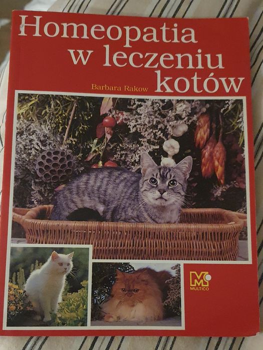 Homeopatia w leczeniu kotów