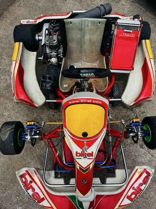 Kart Birel 125CC - IAME X30 + Alfano + Muitos Extras