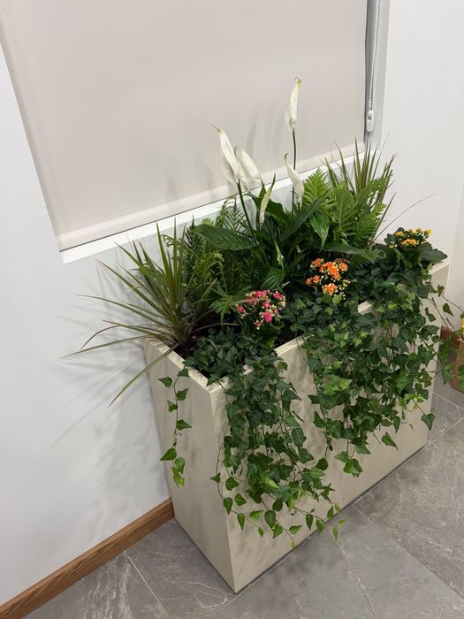 Floreira Moderna com Plantas Naturais