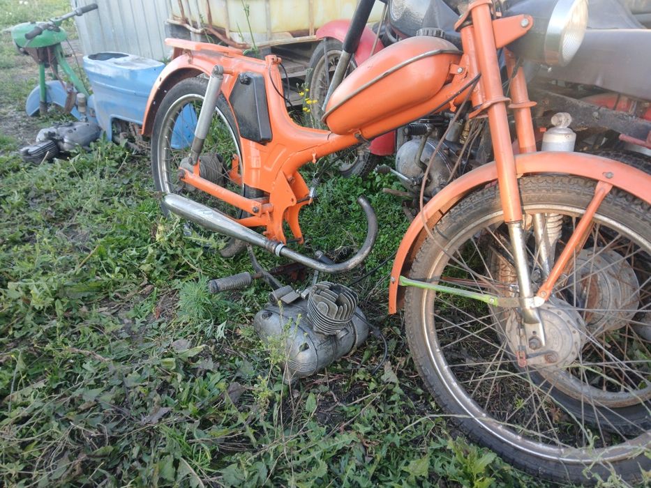 Komar