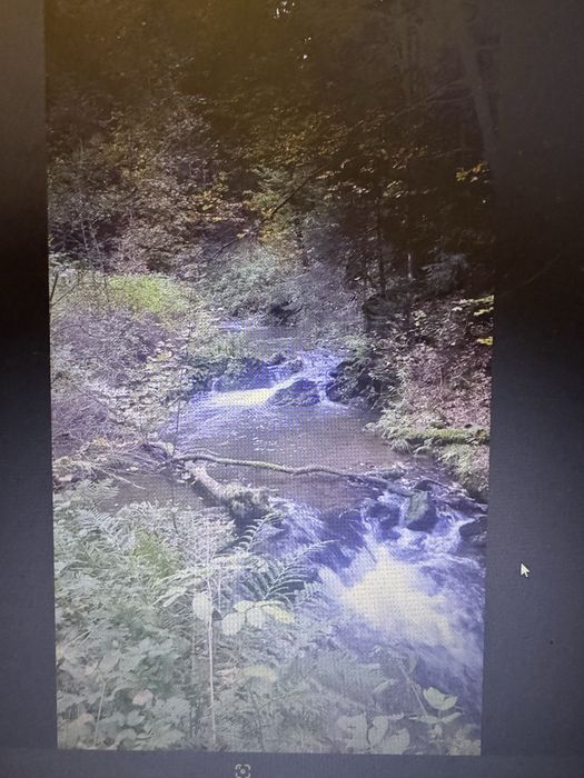 sprzedam działkę  600m Potoczek gmina Międzylesie Nysa Kłodzka