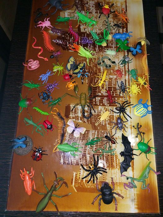 Развивающиц  набор   насекомых   .