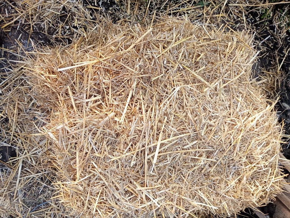 Продам солому в тюках
