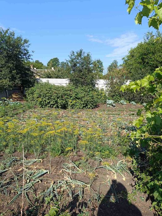 Срочно! Продам дом по улице Соборной в Подольске