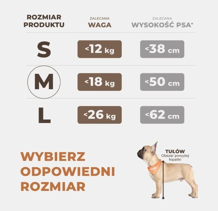 Transporter/ fotelik dla psa