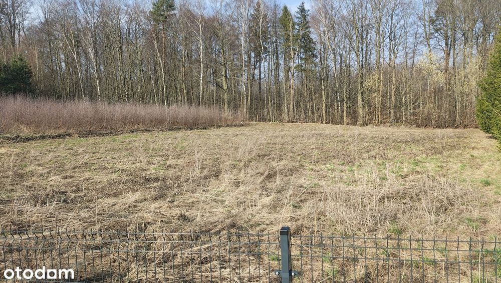 Działka Budowlana uzbrojona MPZP ze ścianą lasu - Widok 5