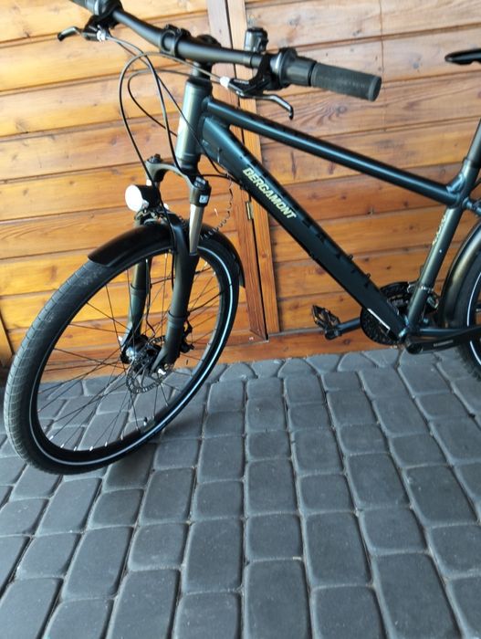 Rower Bergamot 26