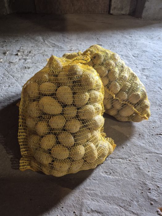 Sprzedam ziemniaki Gala I Soraya