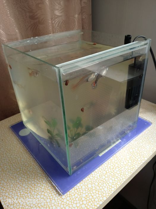 Аквариум 10л.можливо з рибками