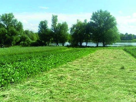 Продаж земельної ділянки 21.5 соток с. Марʼянівка