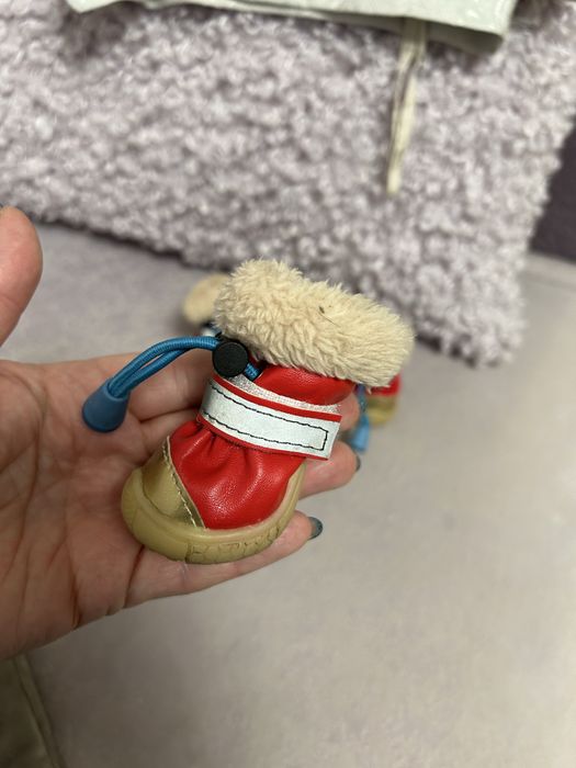 Сапожки для собачки