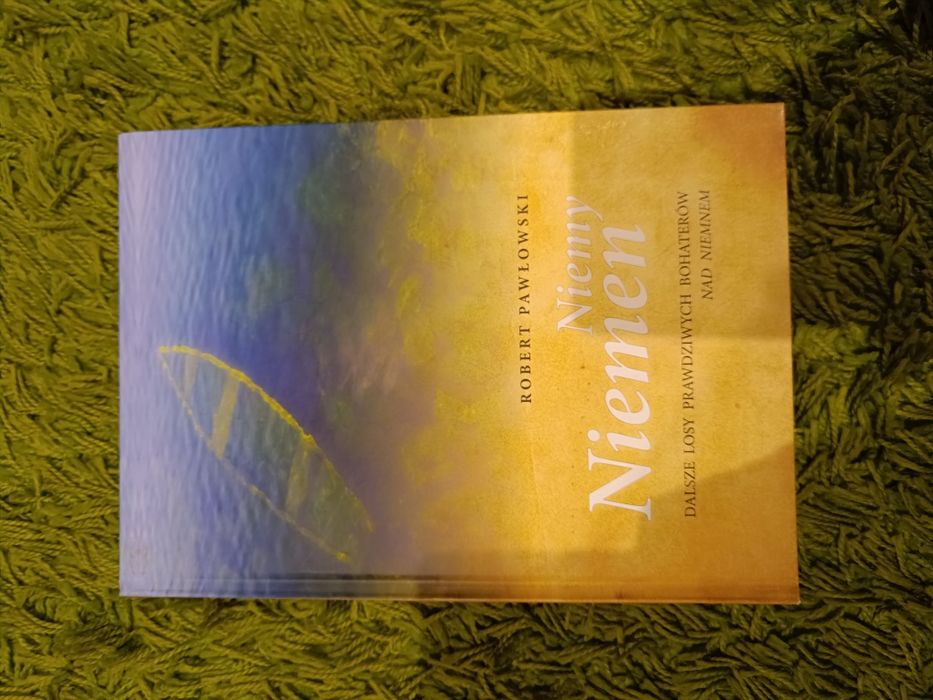 Robert Pawłowski Niemy Niemen