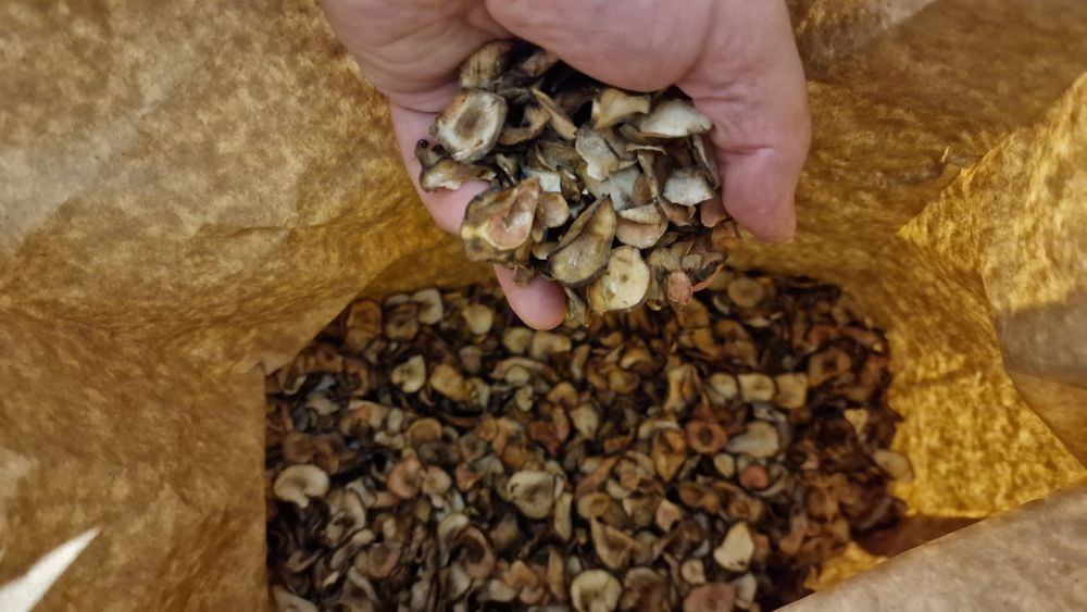 Suszony Topinambur chips 0.5kg