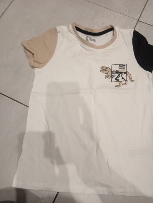 T shirt chłopięcy dinozaur