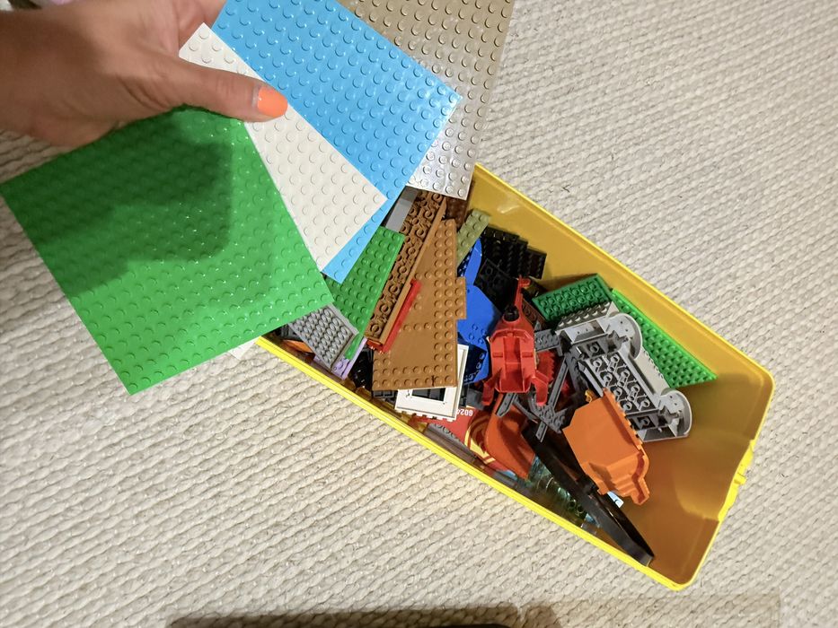 Zestaw klockow Lego i pudla