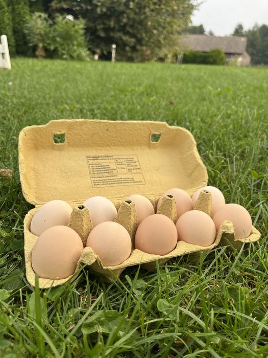 Jajka kurze wiejskie do jedzenia