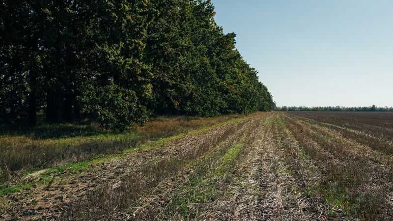 Продаж земельної ділянки с/г призначення, 8 соток, сю Бохоники