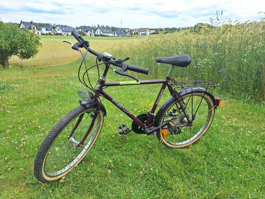 Sprzedam dziecięcy rower górski (koła 24")