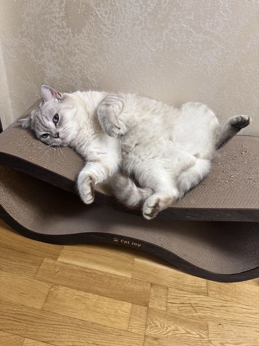 Дряпанка для котика