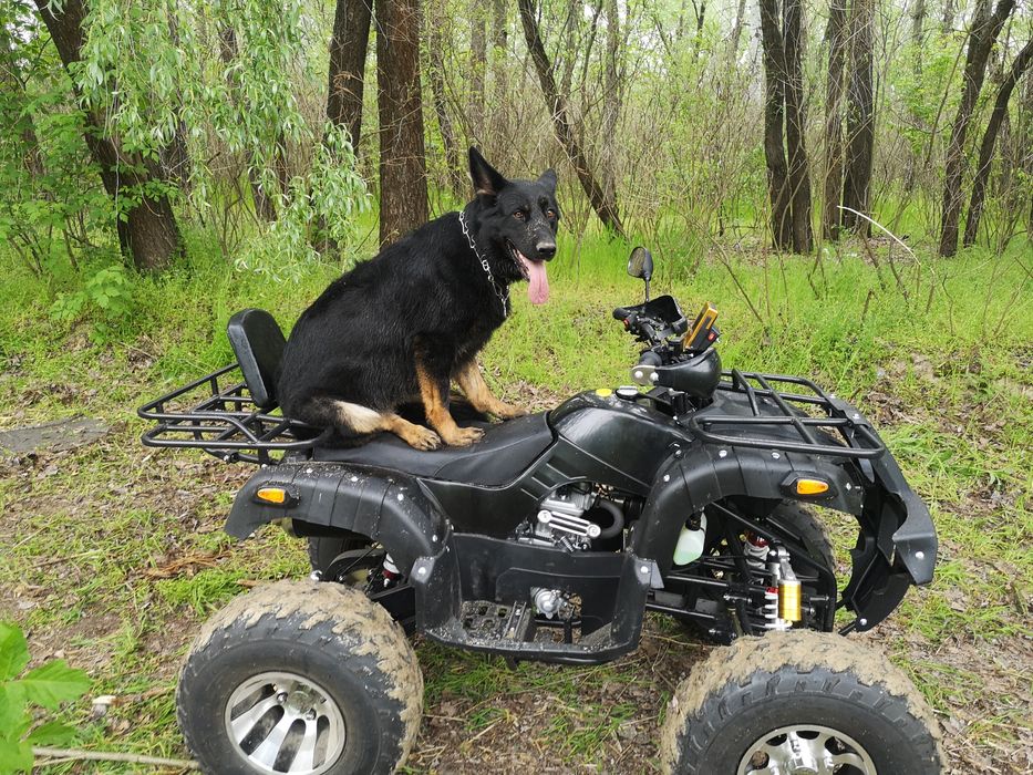 Квадроцикл ATV 250 cc