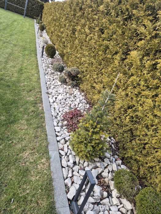 Kamień ozdobny do ogrodu