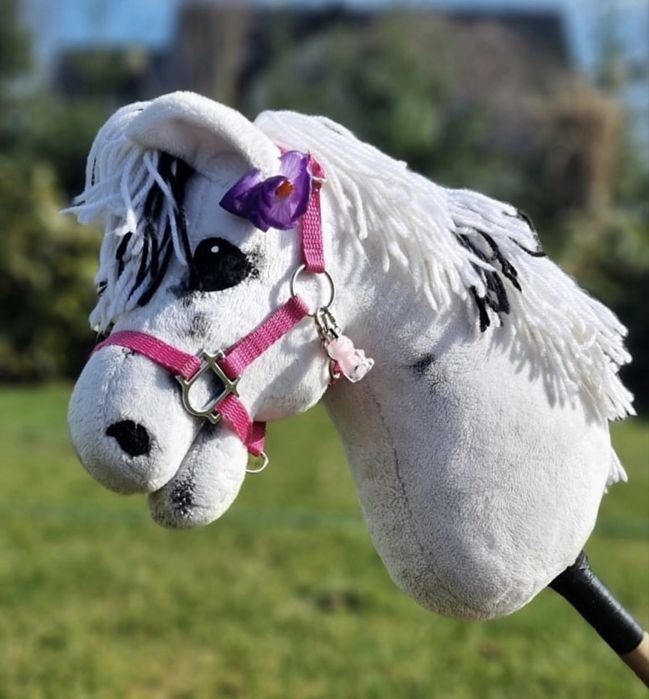 Hobby horse A3
