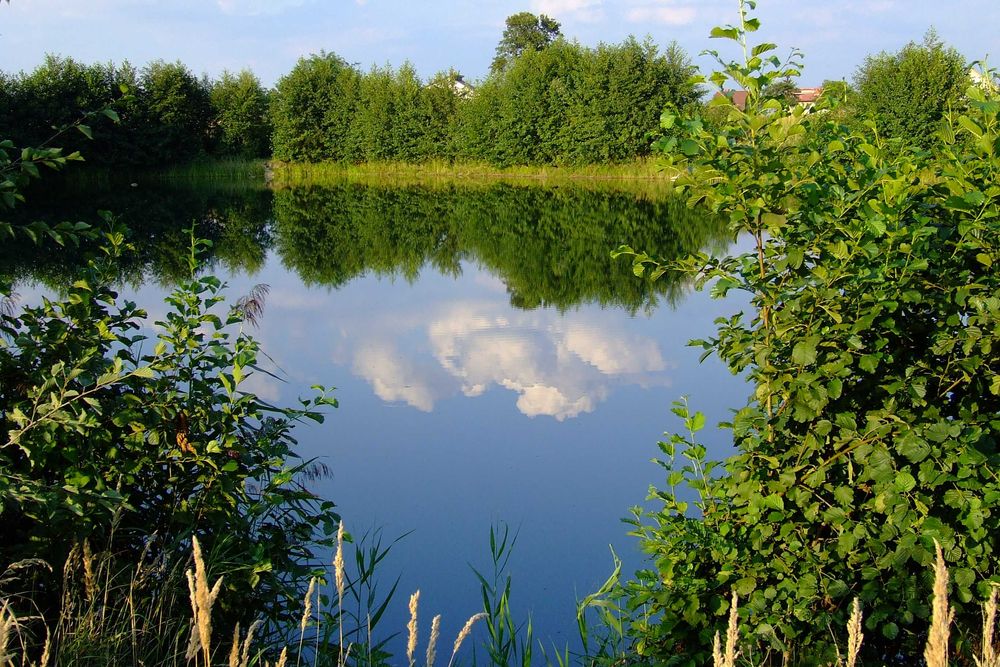 Działka budowlana Przylasek Rusiecki 180 m od kameralnego jeziora
