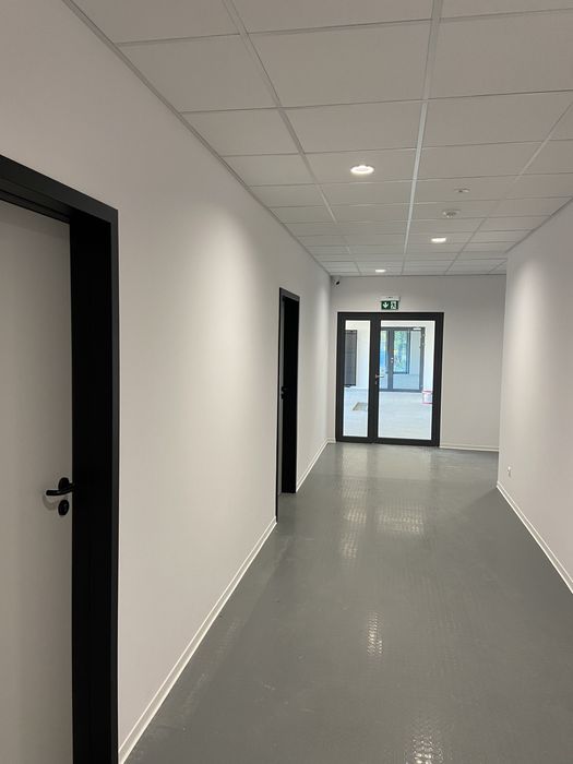 Malowanie i Szpachlowanie | Warszawa i okolice | Od 20 zł/m² | Wolne terminy