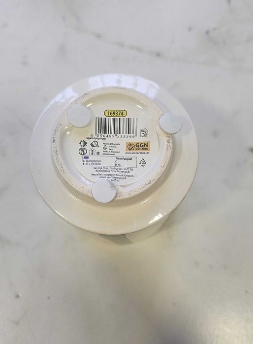 Vaso decorativo para plantas