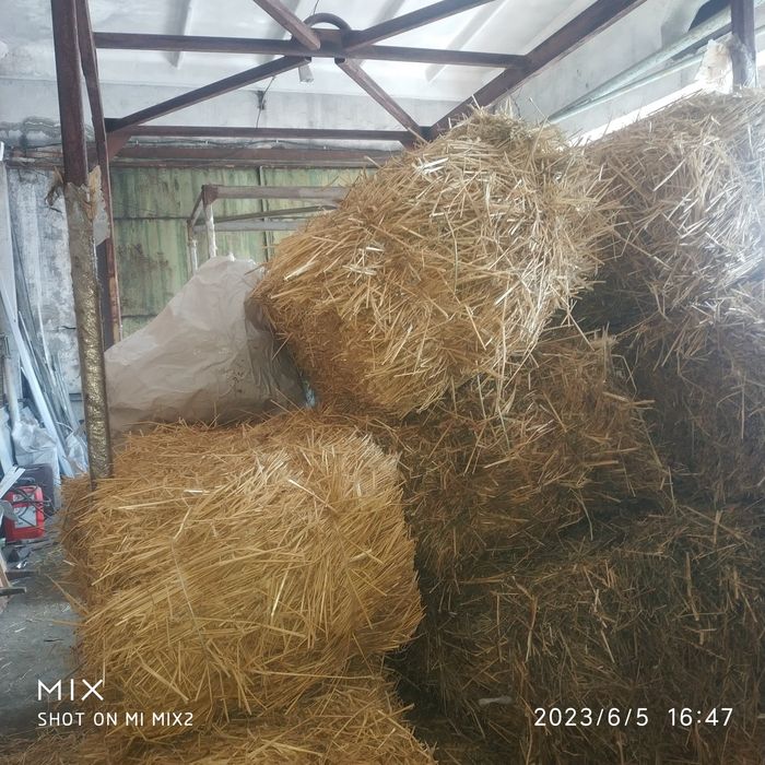 Продам солому  в тюках