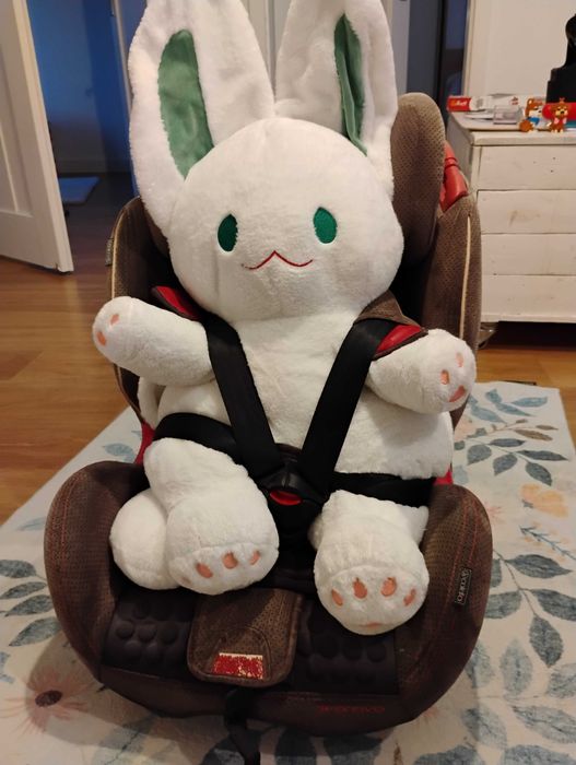 Fotelik coletto 9 - 36 kg