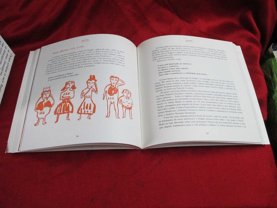 A Biblia o Livro dos Livros ( Colecção 12 Livros ) Ilustrada